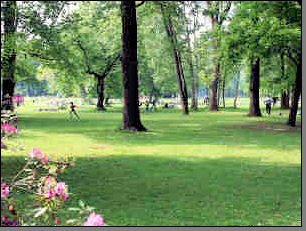 Clara Zetkin Park